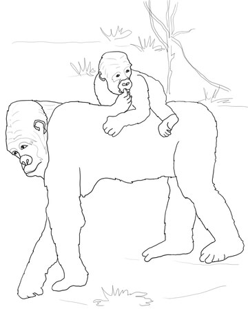 Baby Gorilla On Mother'S Back Coloring Page